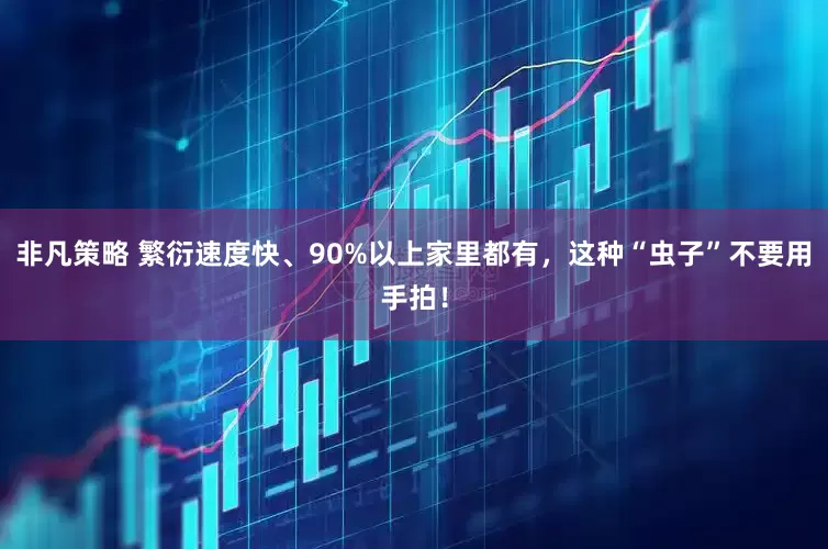 非凡策略 繁衍速度快、90%以上家里都有，这种“虫子”不要用手拍！