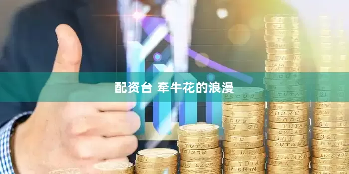配资台 牵牛花的浪漫