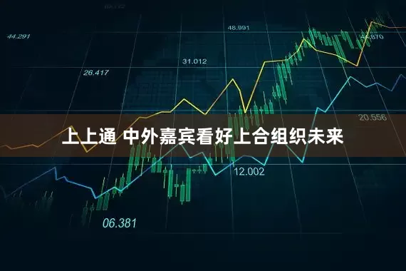 上上通 中外嘉宾看好上合组织未来