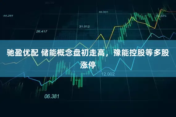 驰盈优配 储能概念盘初走高，豫能控股等多股涨停