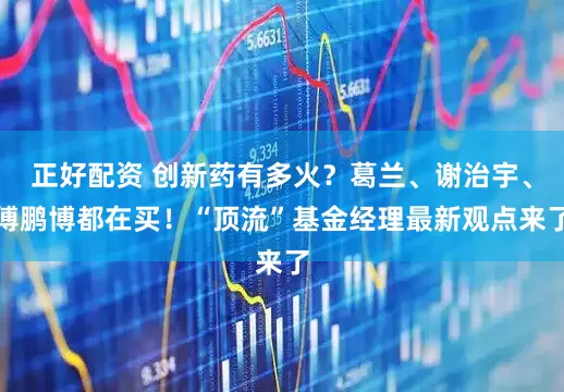 正好配资 创新药有多火？葛兰、谢治宇、傅鹏博都在买！“顶流”基金经理最新观点来了