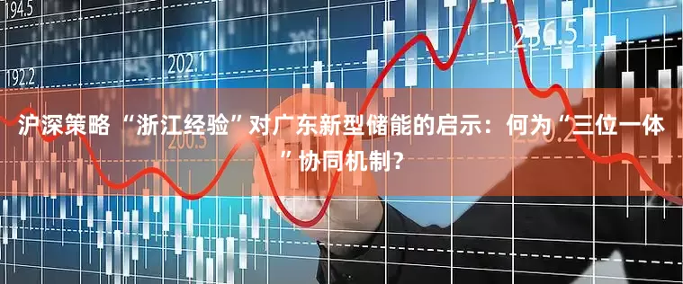 沪深策略 “浙江经验”对广东新型储能的启示：何为“三位一体”协同机制？