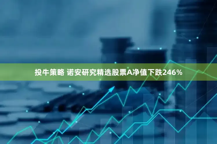 投牛策略 诺安研究精选股票A净值下跌246%