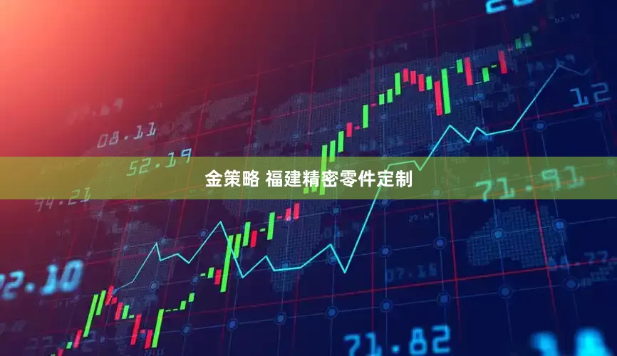 金策略 福建精密零件定制