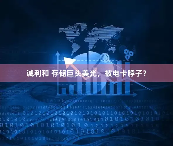 诚利和 存储巨头美光，被电卡脖子？