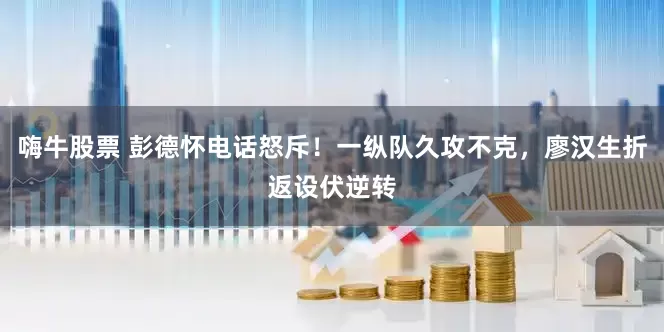 嗨牛股票 彭德怀电话怒斥！一纵队久攻不克，廖汉生折返设伏逆转